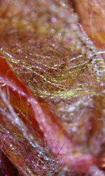 Fashions Finest - Saraden Designs - Flourish Fashions Finest - Saraden Designs - Flourish