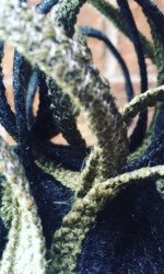 Events Gallery | Saraden Designs | Irish Milliner | Handmade Fabric | Forest | Millinery | Wedding | Occasion Wear Events Gallery | Saraden Designs | Irish Milliner | Handmade Fabric | Forest | Millinery | Wedding | Occasion Wear