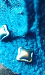 Saraden Designs - Fashion Revolution - Sustainable Fashion Show - D Light Studios - Native Events Mermaid - Saraden Designs