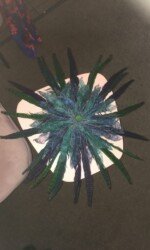Saraden Designs | Irish Milliner | Fashion