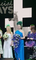 Saraden Designs - VOP Styling - Targis Special Days Saraden Designs - VOP Styling - Targis Special Days