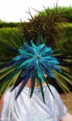 Saraden Designs - Oceanic Nature Collection Saraden Designs - Oceanic Nature Collection