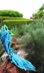 Saraden Designs - Oceanic Nature Collection Saraden Designs - Oceanic Nature Collection