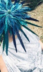 Saraden Designs - Oceanic Nature Collection Saraden Designs - Oceanic Nature Collection