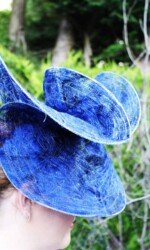 Saraden Designs - Oceanic Nature Collection Saraden Designs - Oceanic Nature Collection