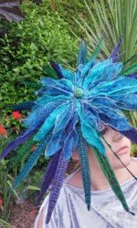 Saraden Designs - Oceanic Nature Collection Saraden Designs - Oceanic Nature Collection