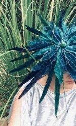 Saraden Designs - Oceanic Nature Collection Saraden Designs - Oceanic Nature Collection