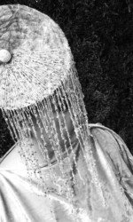 Saraden Designs - Oceanic Nature Collection Saraden Designs - Oceanic Nature Collection