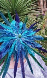 Saraden Designs - Oceanic Nature Collection Saraden Designs - Oceanic Nature Collection