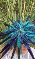 Saraden Designs - Oceanic Nature Collection Saraden Designs - Oceanic Nature Collection