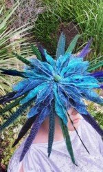 Saraden Designs - Oceanic Nature Collection Saraden Designs - Oceanic Nature Collection