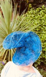 Saraden Designs - Oceanic Nature Collection Saraden Designs - Oceanic Nature Collection