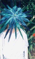 Saraden Designs - Oceanic Nature Collection Saraden Designs - Oceanic Nature Collection