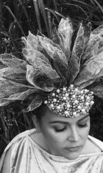 Saraden Designs - Oceanic Nature Collection Saraden Designs - Oceanic Nature Collection