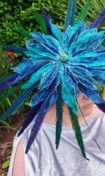 Saraden Designs - Oceanic Nature Collection Saraden Designs - Oceanic Nature Collection