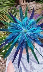 Saraden Designs - Oceanic Nature Collection Saraden Designs - Oceanic Nature Collection