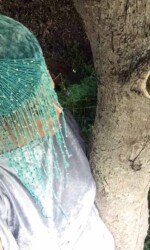 Saraden Designs - Oceanic Nature Collection Saraden Designs - Oceanic Nature Collection