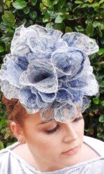 Saraden Designs - Oceanic Nature Collection Saraden Designs - Oceanic Nature Collection