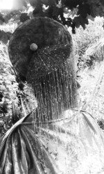 Saraden Designs - Oceanic Nature Collection Saraden Designs - Oceanic Nature Collection