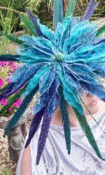 Saraden Designs - Oceanic Nature Collection Saraden Designs - Oceanic Nature Collection