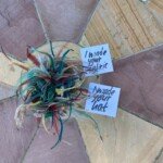 Saraden Designs - Irish Millinery - #whomademyclothes Saraden Designs - Irish Millinery - #whomademyclothes