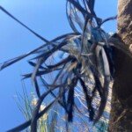 Saraden Designs - Irish Millinery - #whomademyclothes Saraden Designs - Irish Millinery - #whomademyclothes