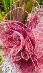 Margaret O' Rourke wearing Saraden Designs Millinery - Irish Milliner Margaret O' Rourke wearing Saraden Designs Millinery - Irish Milliner