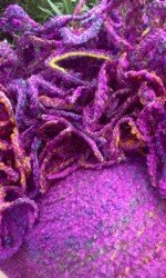 Sarah O' Rourke wearing Irish Designer Saraden Designs Millinery Atelier -Virtual Galway Races