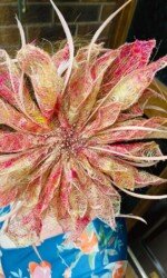 Sarah O' Rourke wearing Irish Designer Saraden Designs Millinery Atelier - VIP Magazine Ladies Dy